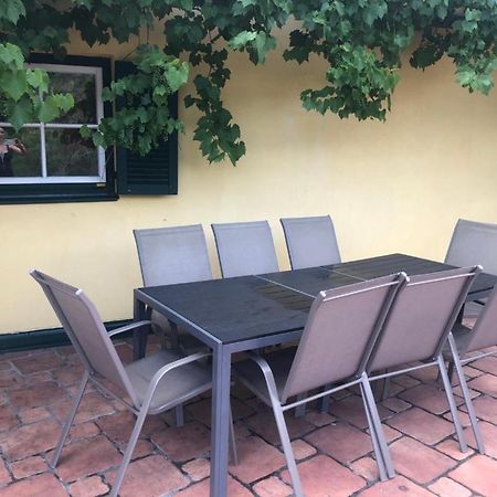 Winzerhaus Mit Fernblick Villa Krems an der Donau Exterior photo